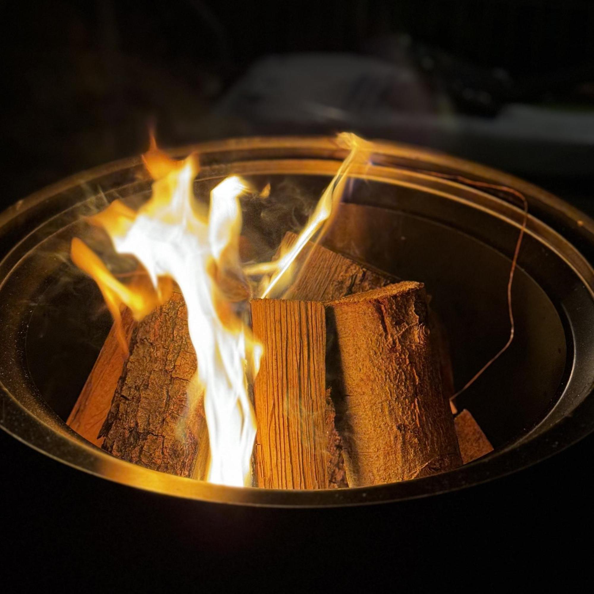 Greenhouse Living Apartment Fagus Mit Terrasse Und Feuerstelle - 6 Minuten Nach Winterberg - 4 Minuten Zur Ruhrquelle - Wandern - Mountainbike Fahren - Reisen Mit Hund & Natur Geniessen Medebach Exterior photo